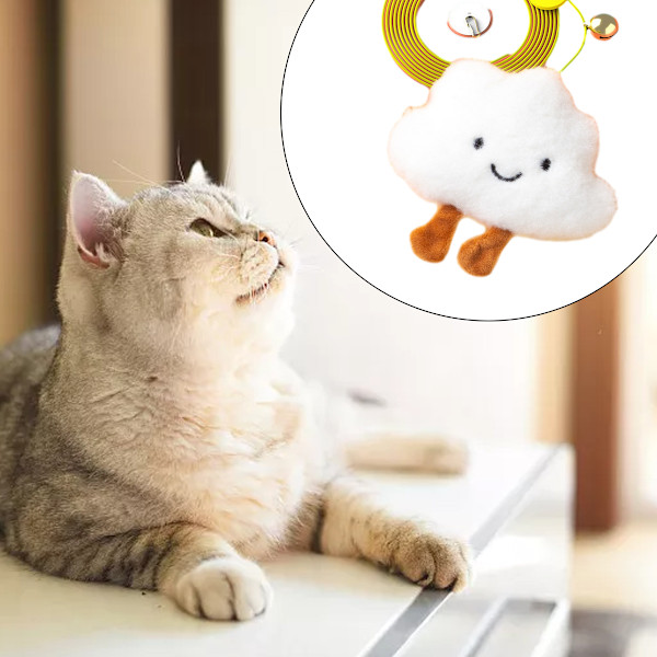 Självspelande dörrhängande katt leksaker är lämpliga för inomhuskatter och kattungar, och interaktiva leksaker används för jaktövningar för att eliminera tristess