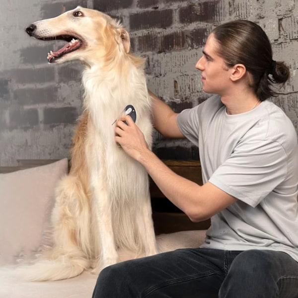 Tovkniv, Tovutredare, Hund, Katt, Svart