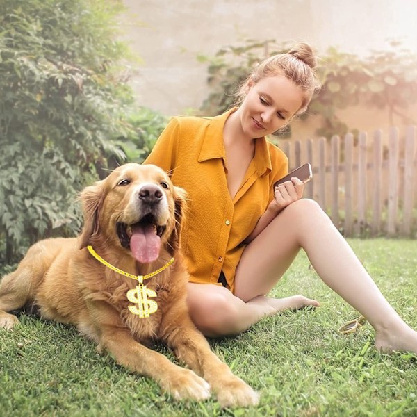 Guldkedja hundhalsband med justerbar kubansk kedja hundhalsband med kristalldollar-teckenhänge