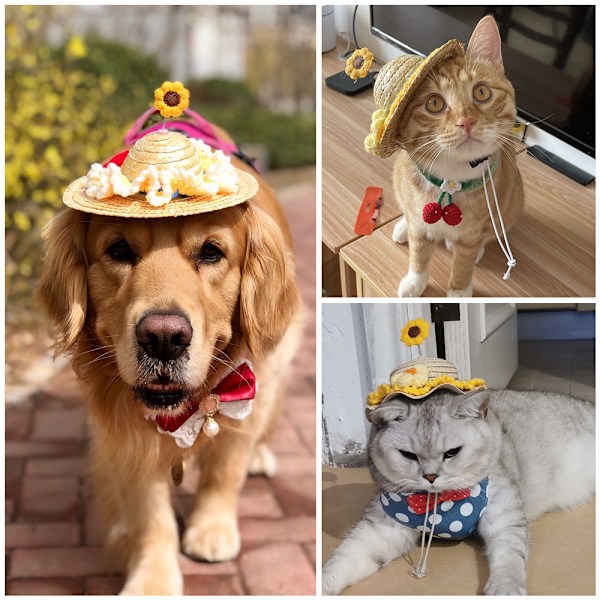 Kreativ Sød Kæledyrs Halmhat med Justerbar Snøre & Metalfjeder Kæledyrs Sombrero Hat Kat Halmhat Hund Solhat
