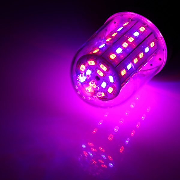 60W E27 LED Röd+Blå Majslampa Hydroponisk Växt Blomma Grönsak Växande Ljuslampa (60LED)