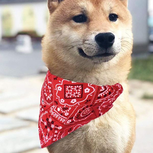 4 kpl Koiran Bandana-kaulus, Pennu & Kissa, S, M, L Säädettävät Kaulukset, Syntymäpäiväjuhla-asu