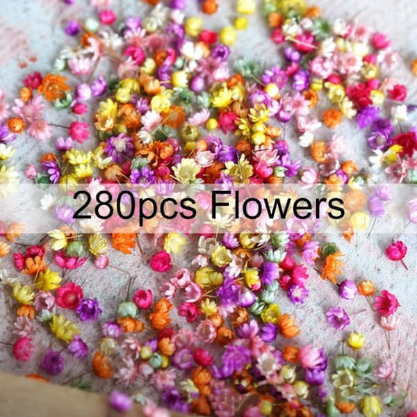 Ægte tørrede blomster til DIY-kunst og håndværk Epoxyharpiks Lysfremstilling Je farve 710 blomsterhoveder
