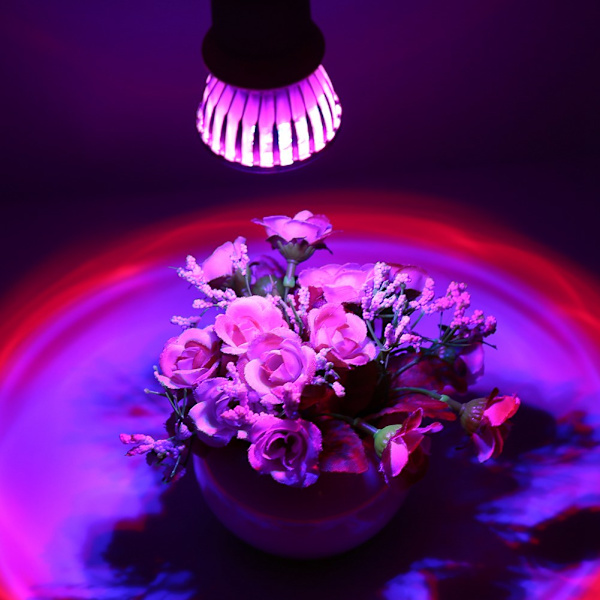 85-265V E27 6LED Kukkakasvien Kasvualamppi Kupera Lamppu (E27 6LED)