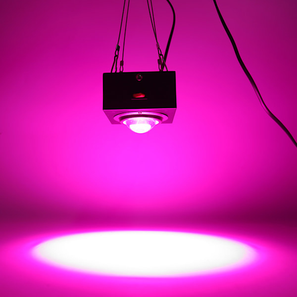 300W LED COB Växtlampa Fullspektrum för Växthusväxter Grönsaker US 110V/EU 220V EU