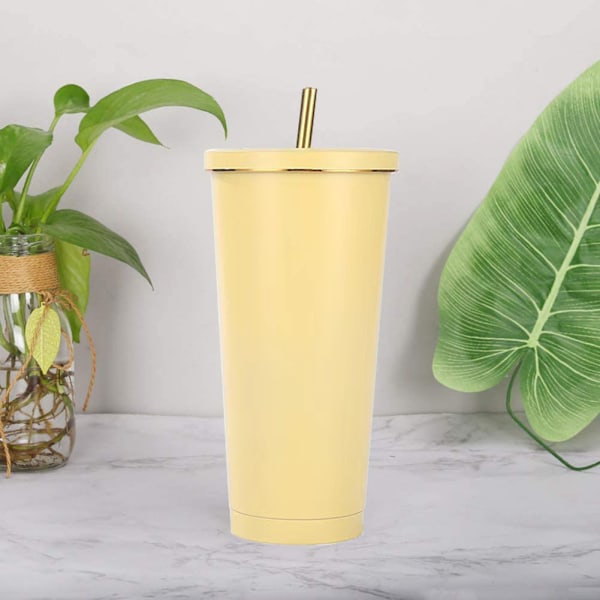 750 ml resekopp, dubbelväggig kopp i rostfritt stål, vakuumisolerad vattenflaska, isolerad vattenkaffekopp, dubbelväggkopp med sugrör, borste och