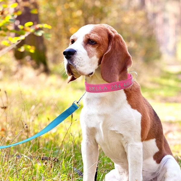 Personlig hundekrave, broderet med hundens navn og telefonnummer, hurtigudløsnings-D-ring