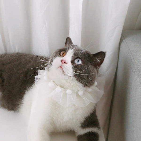 Sød Blonder Sjal Halsbånd Krone Hat Prinsesse Kostume til Katte Små Hunde, Outfit til Fødselsdagsfest