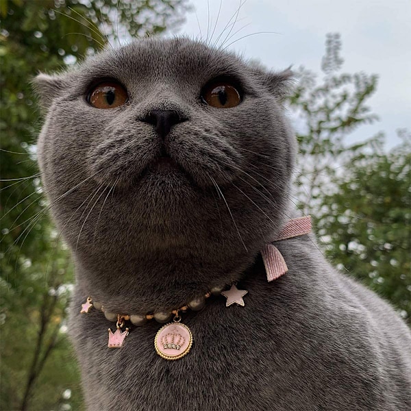 Halsband med pärlor för hund och katt, bling-accessoarer, band, kärlekshänge, husdjurssmycken för valpar, chihuahua, yorkie, justerbart, handgjort