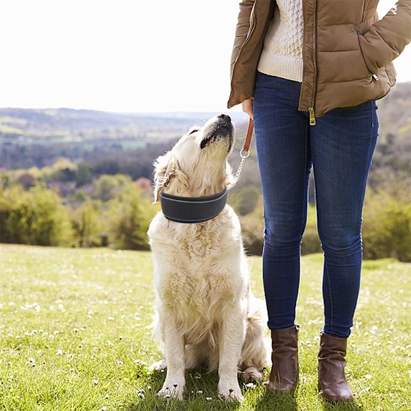 Halsband för hund med kraftig konstruktion, 5 cm brett, reflekterande, justerbart, med rostfria beslag