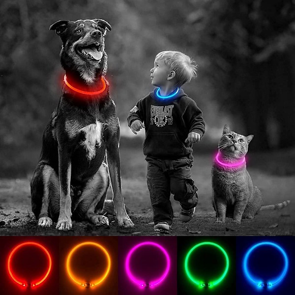LED-koiranpanta Valoisa koiranpanta USB-ladattava vedenkestävä lemmikkipantaksi, voidaan leikata sopivaksi