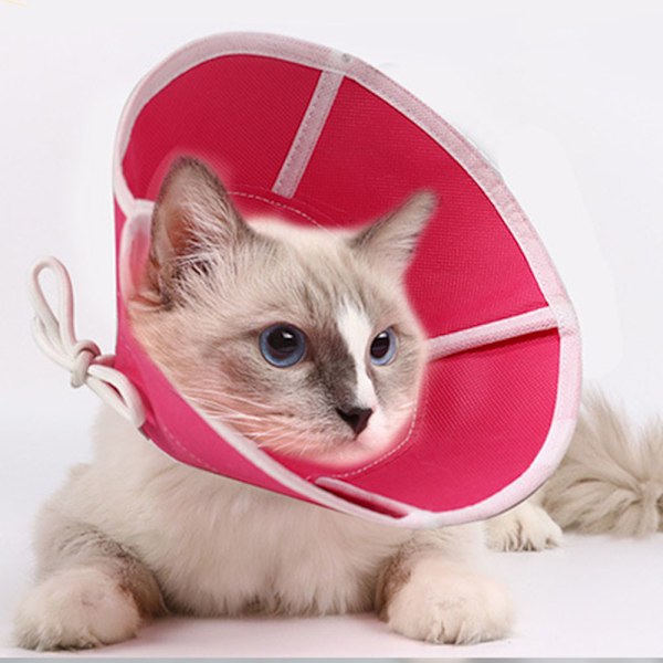 Mjuk katt återhämtningskrage, kattkonkrage, non-woven tyg Elizabeth krage, skyddande sår läkning krage speciellt utformad för katter
