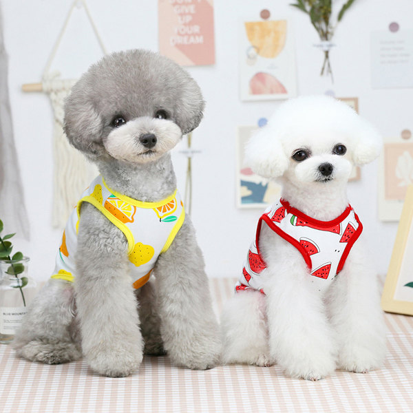 2-pack kylväst för hund, lätta sommarkläder för hundar, kattkläder