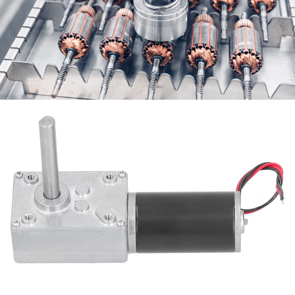 Maskväxelmotor DC Självlåsande Mini Hastighetsreducering Elektrisk Växellåda Reducerare Motor DC24V 12RPM