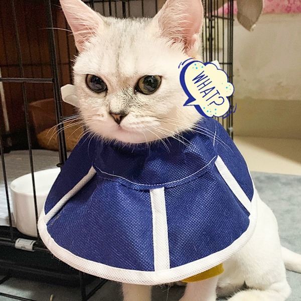 Mjuk katt återhämtningskrage, kattkonkrage, non-woven tyg Elizabeth krage, skyddande sår läkning krage speciellt utformad för katter