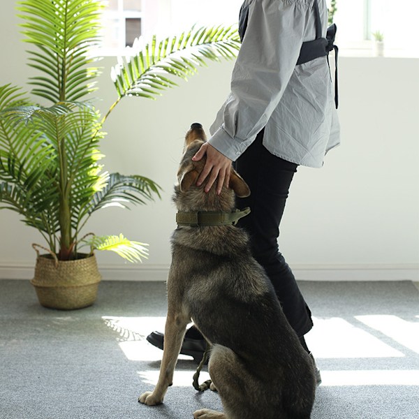 Taktisk Hundehalsbånd - Militært Hundehalsbånd med Tekst \"Jeg er Speciel\"