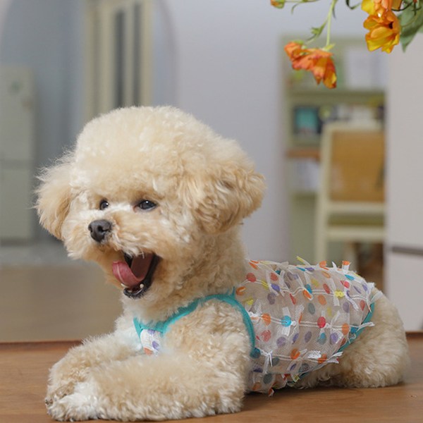 Hundklänning för små hundar Andningsbar Valp Söt Tutu Klänning Söt Kvinnlig Katt Prinsesskläder Sommar Fjärilsoutfit för Teacup Hund Yorkie Chihuahua