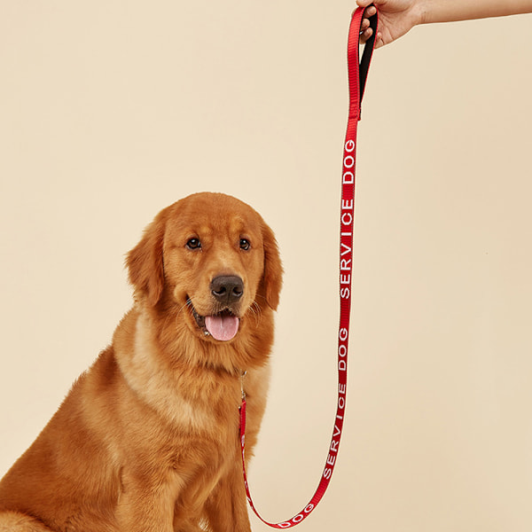 Hundelead Wrap med Neoprenhåndtag og Reflekterende Følelsesmæssig Støtte-Tekst