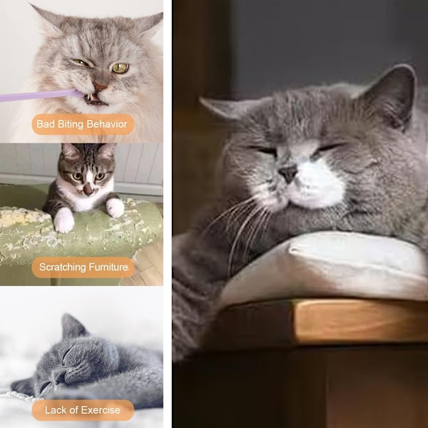 Katt leksaker Flopping fisk med SilverVine och Catnip, Flyttande katt kicker, Floppy Wiggle fisk för små hundar
