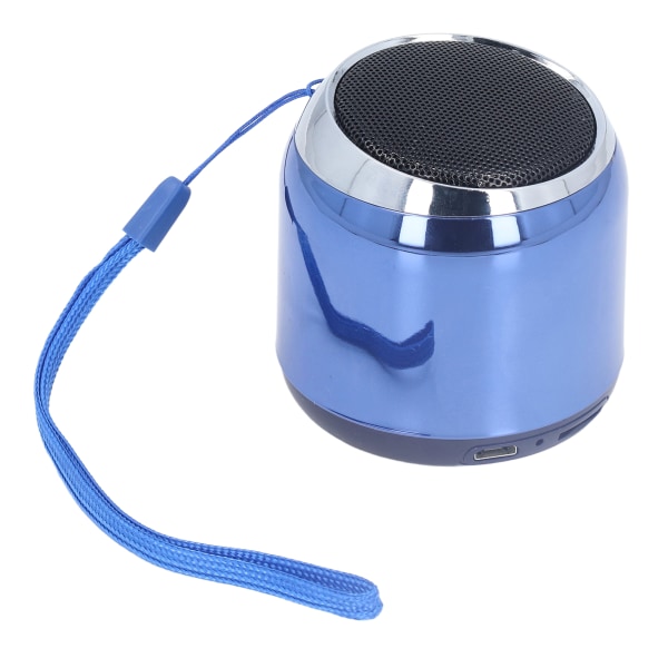 Trådlös högtalare Blå Stereo Surround Sound Bärbar USB
