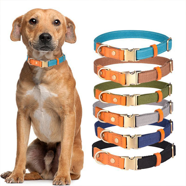Vibrerande i flera färgalternativ - premium nylon hundhalsband med metallspänne