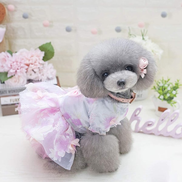 Koiran häämekko, söpö tutu-hame, lemmikkiprinsessamekko pienille koirille ja kissoille keväällä ja kesällä