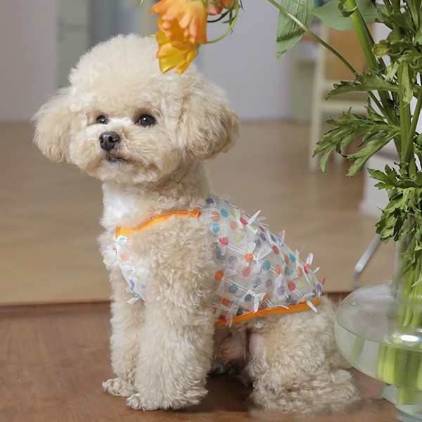 Hundekjole for små hunder, jentehund, blomster skjørt, pustende valp slip tutu kjole, søt hunnkatt prinsesse klær, sommer antrekk, hund bursdagskostyme