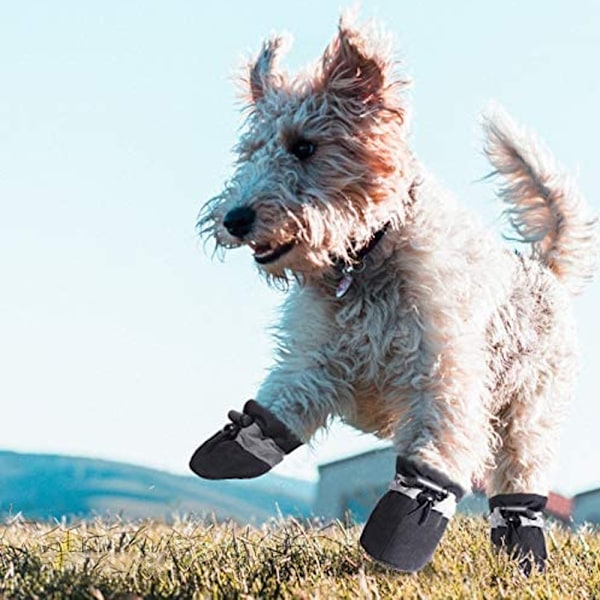Hundesko til varmt fortov - Potebeskyttelse, Anti-Slip Sål Sommer Katte- og Hunde-Støvler med Reflekterende Remme 4 stk.