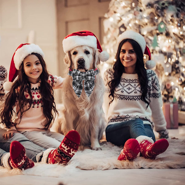 Julhalsband för hund med rosett, fluga hund jul