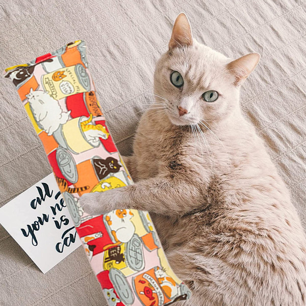 4 st katt leksak catnip kudde interaktiv katt leksak söt mönster inomhus kattunge katt