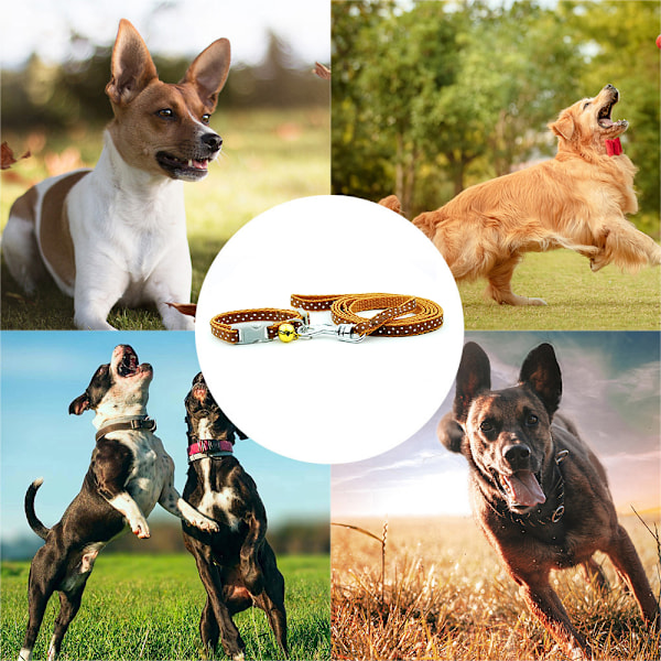 Rød Dingo designer hundekrave, lille
