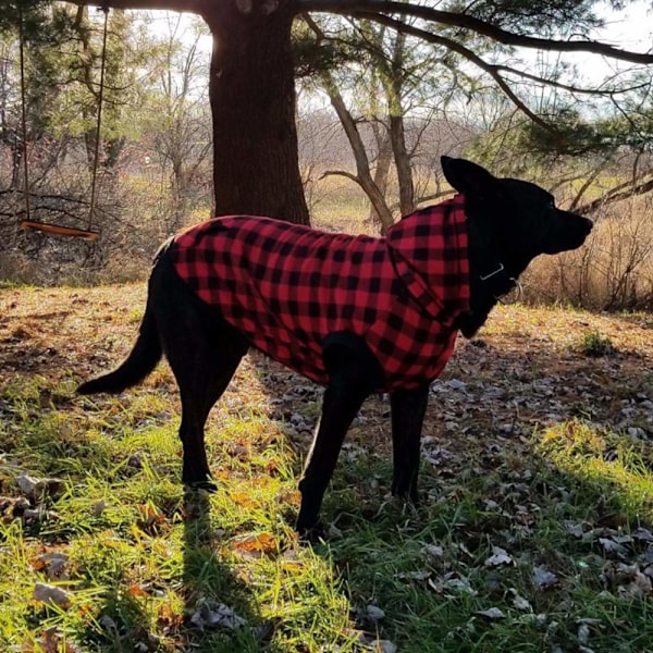 Hættetrøje til kæledyr efterår og vintertartan hundetøj Aftagelig hat kæledyrs sweater