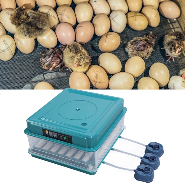 Egg Inkubator Kontroller LED Lys Automatisk Vendende Inkubator Fuktighetskontroller Grønn EU-Plugg 220V 38 Egg