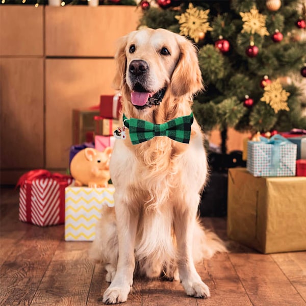 2-pack julhalsband för hund, klassiskt rutigt hundhalsband