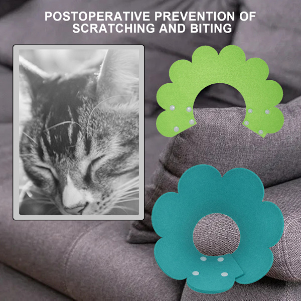 2PCS Katt Återställnings Krage Katt Kottar Blomform Husdjur Sår Läkning Hals Kragar