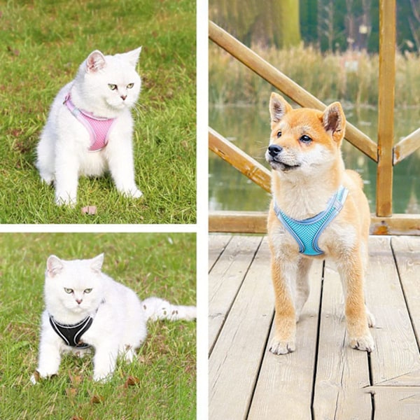 Mjukt hundsele och koppelset för promenader, för små hundar och huskatter