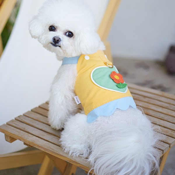 Hundklänning Väst Sele med Koppel Set, Broderade Tyg Patch Remmar Kläder för Liten Hund Katt Valp, Mjuk Andningsbar Mesh( Med Två Rep)