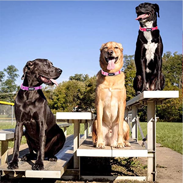 Hundekravler, Bløde & Komfortable Hundekravler til Små, Mellemstore og Store Hunde