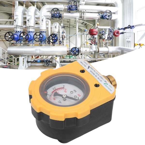 Vandpumpe Automatisk Trykregulator med NPT4 Gevind 1500W 30A 0‑60psi E04‑1500AU Stik AC220V