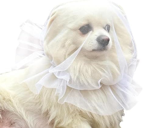 Mesh Muzzle for Dog | Breathable Mesh Drawstring, Adjustable, Lightweight Pet Muzzle - for Small and Medium Breeds Outdoors, Park Training White