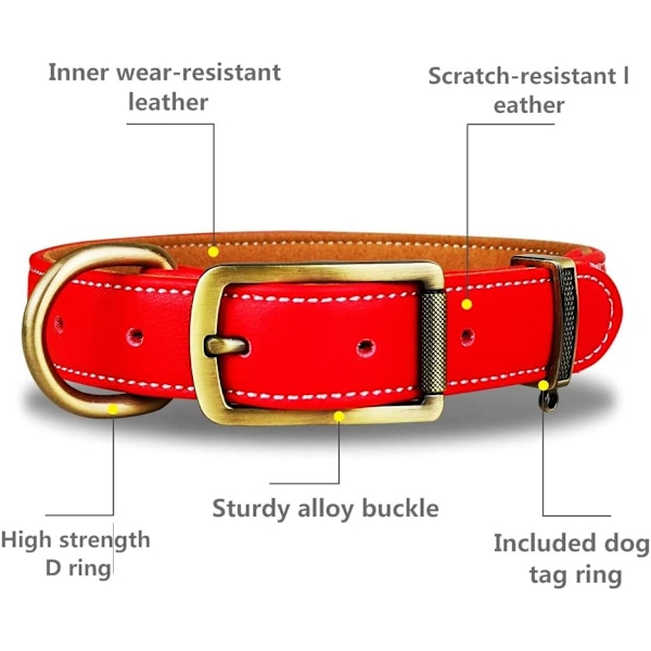 Klassiskt vadderat läderhalsband för hund, anti-hårnålshalsband, legering hårdvara D-ring