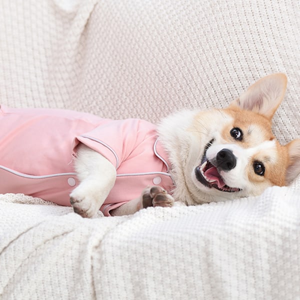 Knappskjorta för husdjur, hundstickning, kläder, pyjamas, bekväma kläder för hundar