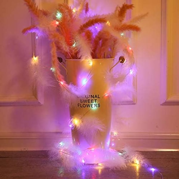 Feather String Lights, led dekorativa lampor, Fjärrkontroll Romantisk vägghängande gardin dekoration$Fjäder String Lights Fairy Lights Batteri