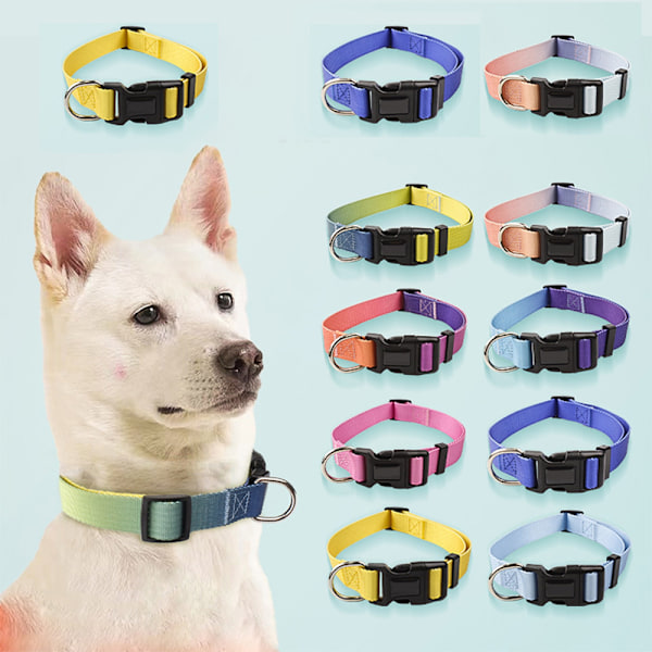 Halsband för hundar Gradient mjukt spänne bekvämt nylon justerbart husdjurshalsband för stora, medelstora och små valpar