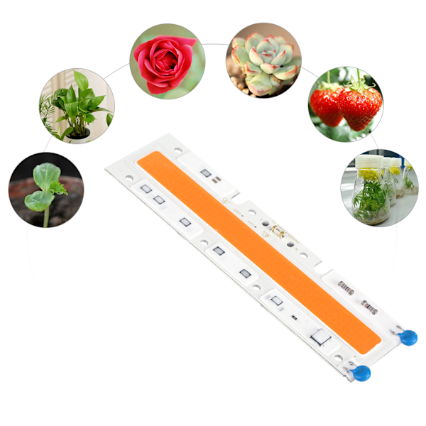 110V Fullspektrum Hög Effekt COB Chip LED Växt Hydroponics Odling Ljus (70W)