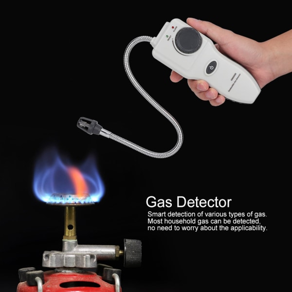 Detektor för brännbar gas Läckage Naturgasanalysator