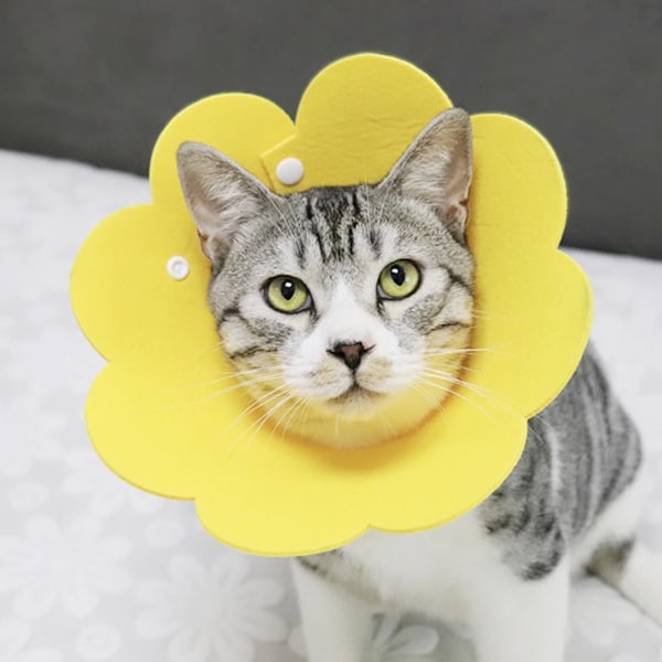 Katt återhämtningskrage - Söta blommiga nackkatter kottar efter operation, justerbar katt e-krage, kirurgisk återhämtning Elizabethan kragar