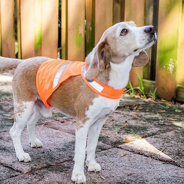 2 st husdjursreflexväst sommar husdjur andningsbar väst fluorescerande hundkläder