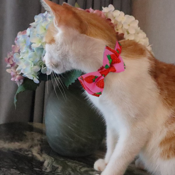 Nytt husdjur frukt rosett katt krage rosett avtagbar avtagbar klocka