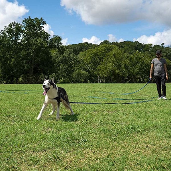 Lydighets- och inkallningsträningskoppel för hund/valp - Perfekt för träning, lek och camping